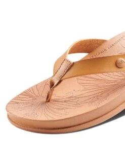 Reef Cushion Porto Cruz Flat Flip Flops -Cyberjammies Store cushion porto cruz flat flip flops 12