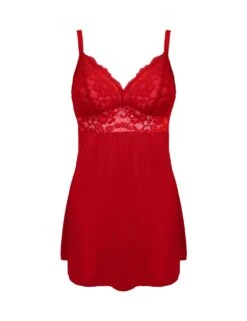 Pour Moi Fleur Lace Chemise -Cyberjammies Store fleur lace chemise 10